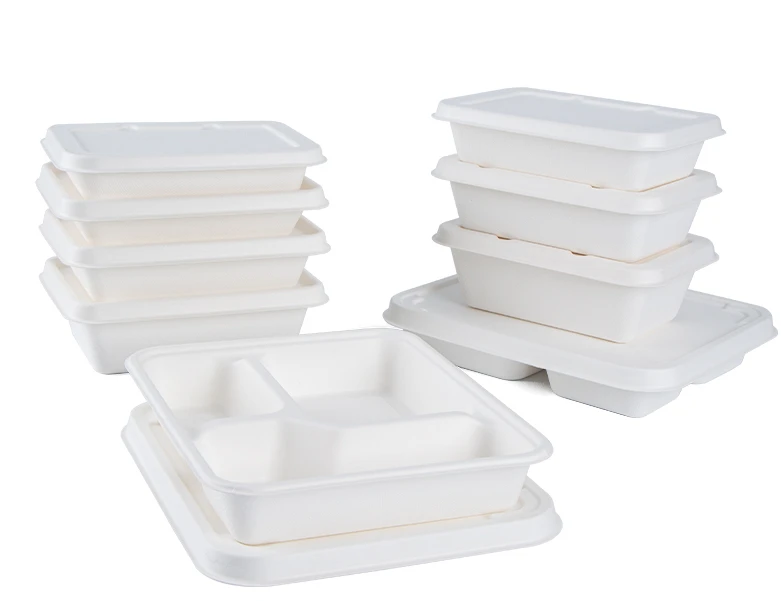 Biodegradable lunch box