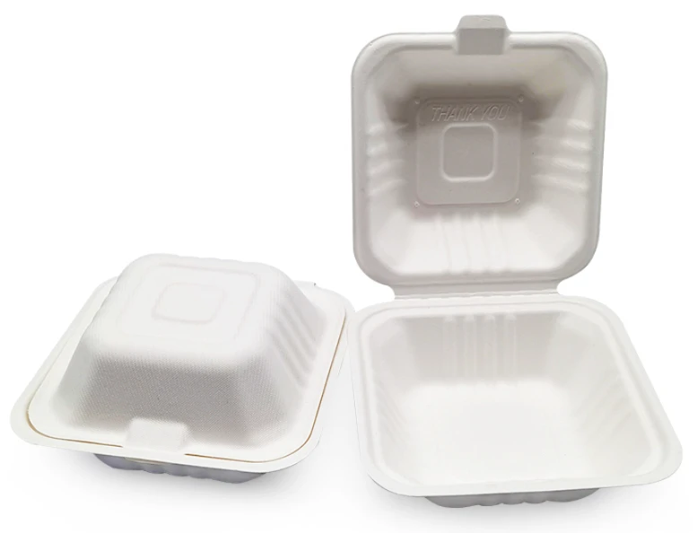 disposable lunch box