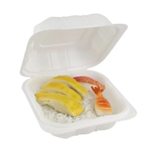 6 x 6 tum med gångjärn till-Go Food Containers FDA Food Grade