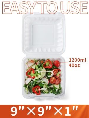 Disposable Eco Friendly Lunch Boxes