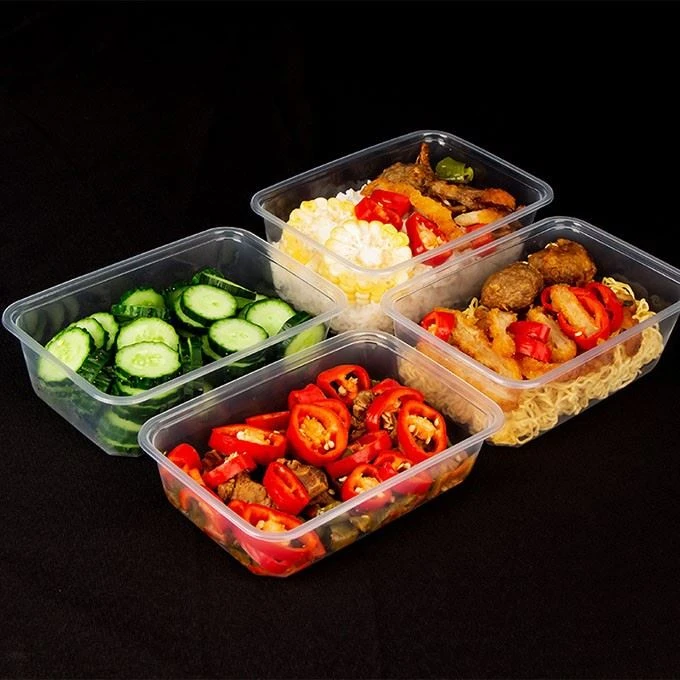 Disposable Plastic Food Container
