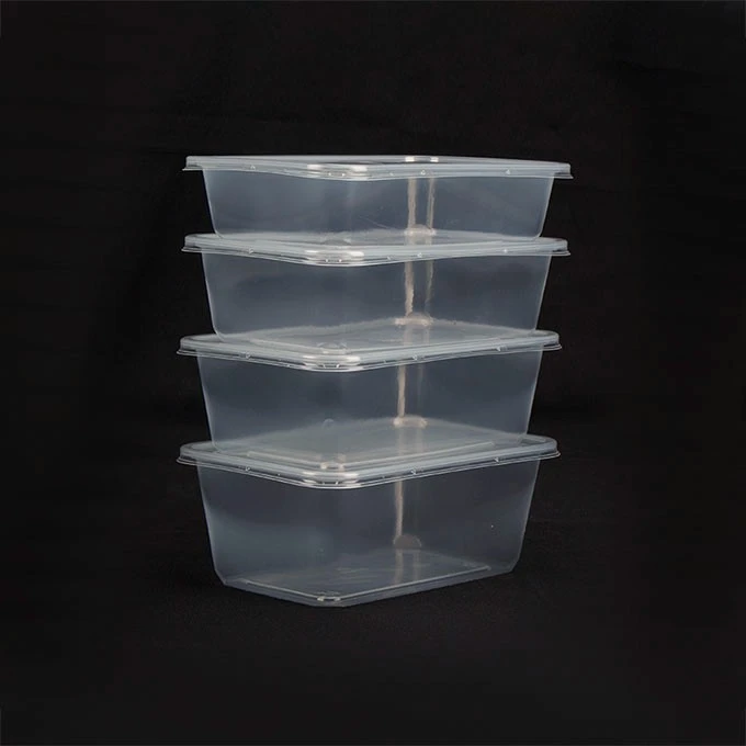 Disposable Plastic Food Container