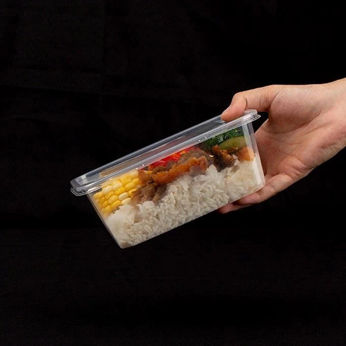 Disposable Plastic Food Container