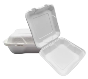 9'' Bagasse To Go Food Containers