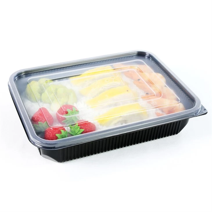 Miljövänliga grab-and-go-måltider: Engångslunchboxlösningar för modern livsstil