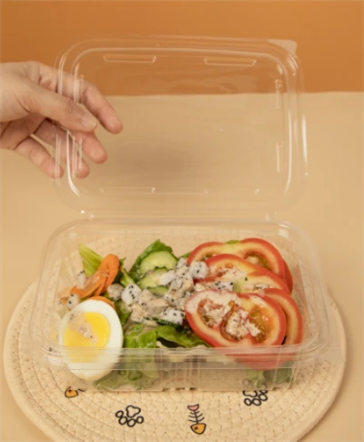 Plast salladsskålar Retangulära