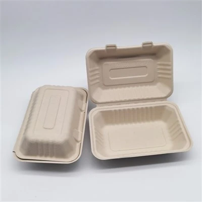 Sockerrör Bagasse Bamboo Massa matbehållare