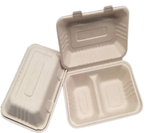 To Go-behållare med lock Bagasse 2fack
