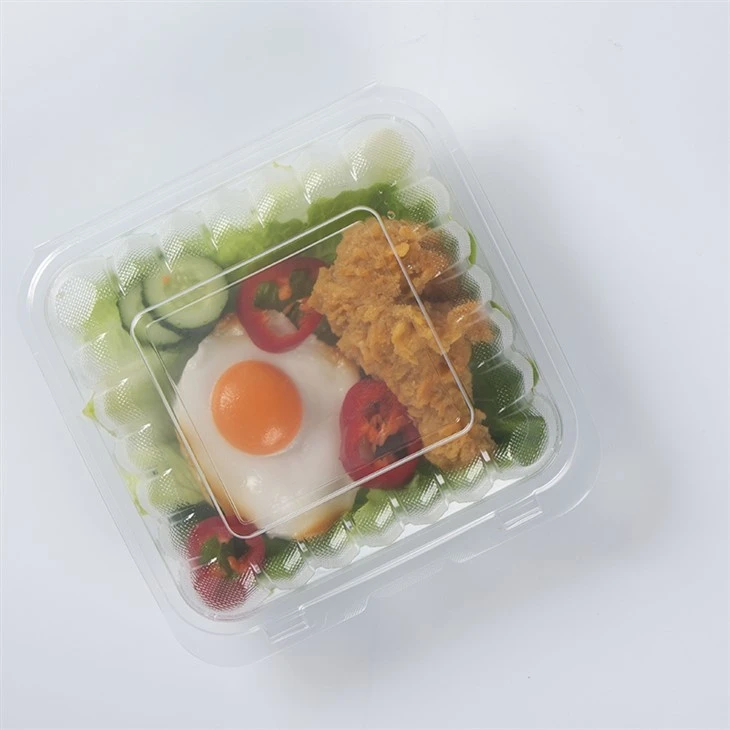 Take Away Engångsmat Bento Lunchbox