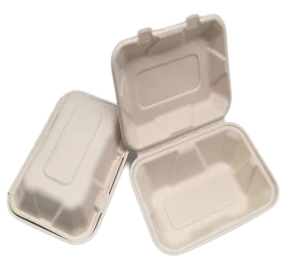 To Go Containers Engångsbagasse