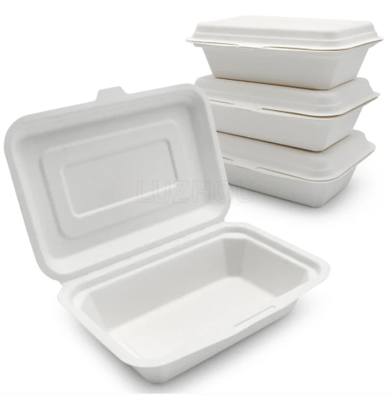 To Go-behållare med lock Engångsbagasse