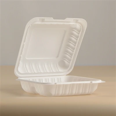 Är plast till - Go -lådor säkra? Analys av till - GO BOX -faror och viktiga p...