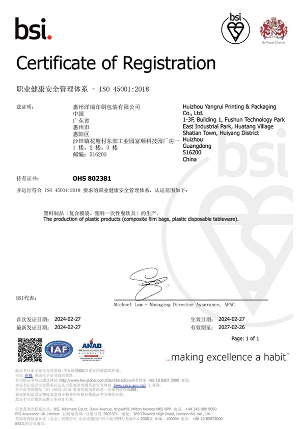 bsi certificate