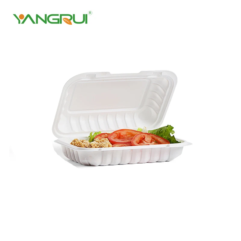 hinged lid container