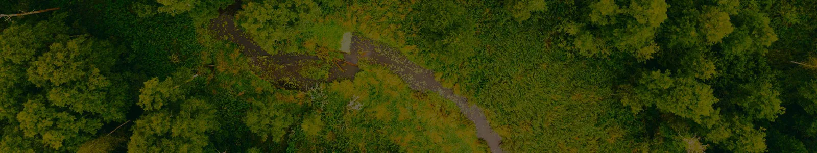 sustainability-1 sustainability-1