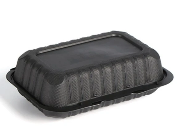 9x6 Inch MFPP Hinged Food Container