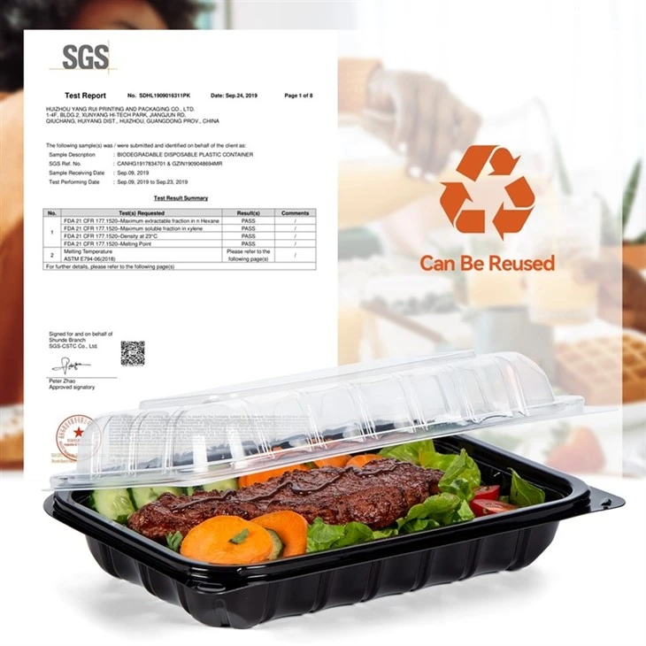 Plastic Container Takeout best