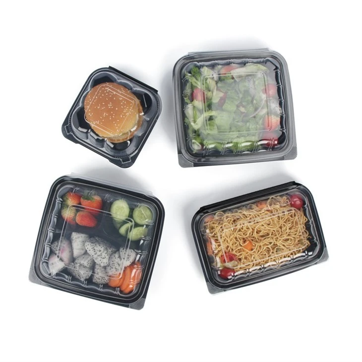 Plastic Container Takeout suppliers