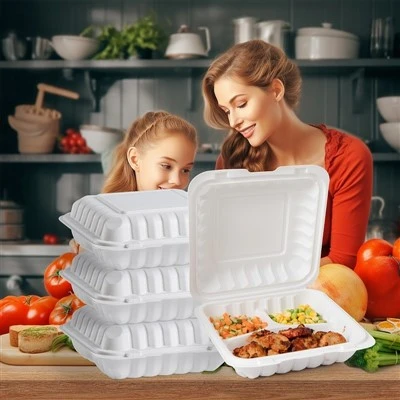 1 Compartment Hinged Lid Container 1 Compartment Hinged Lid Container