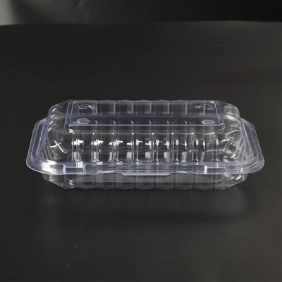 Clear Hinged Lid Container Clear Hinged Lid Container