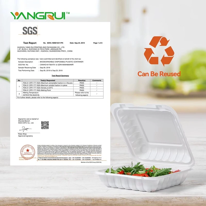 White Hinged Lid Container